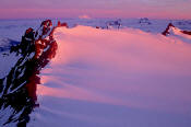 Image of Sunrise on Neve Glacier, Snowfield Peak, North Cascades