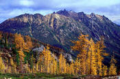 Image of The Needles in Fall, North Cascades