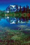 Image of Mount Shuksan reflection, Highwood Lake, North Cascades