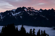 Image of Mount Olympus from Skyline, Olympic National Park