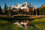 Image of Mount Rainier Reflection Indain Henry's