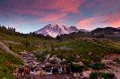 Image of Mount Rainier and pink clouds, Edith Creek.