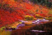 Image of Fall Colors, Lakes Trail