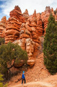 Image of Hiker, Pink Ledge, Red Canyon