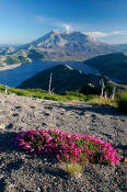 Image of Mount St. Helens from Mount Margaret, Spirit Lake