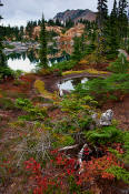 Image of Fall Colors at Rampart Lakes, Alpine Lakes