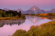 Image of Mount Moran and pink skies reflected at Oxbow Bend, autumn, Grand Teton National Park