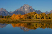 Image of Mount Moran and fall colors reflection at Oxbow Bend, Grand Teton National Park