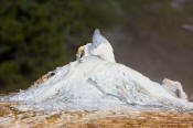 Image of Orange Spring fountain at Mamoth Hot Springs, Yellowstone National Park.