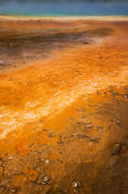 Image of Grand Prismatic Spring, Yellowstone National park.