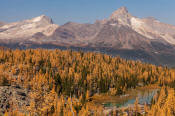 Image of Cathedral Mountain above Opabin Plateau in fall