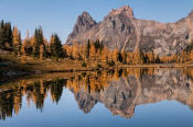 Image of Wiwaxy Peaks and fall larches reflection, Opabin Plateau