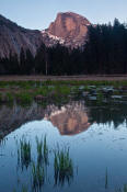 Image of Half Dome Reflection